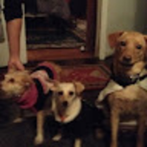 Meet your Posher, Franchesca - Picture 1 of 1